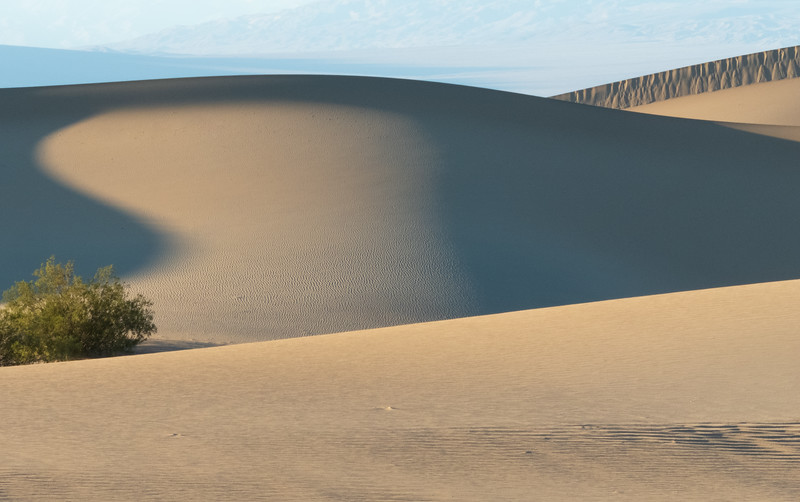 Mesquite Sand Dunes photo